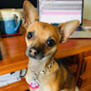 Meet your Posher, G.